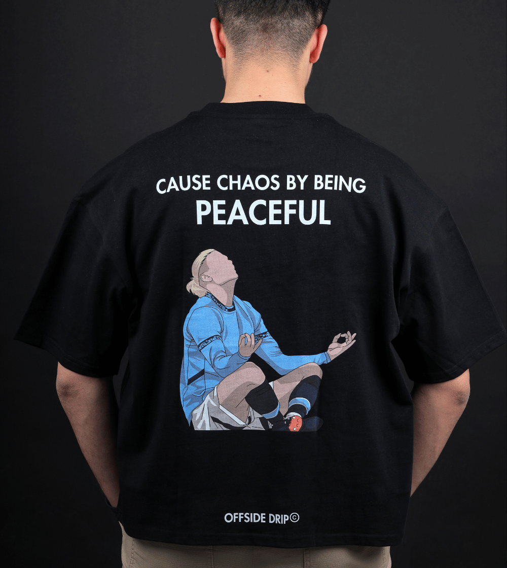 The Viking - "Cause Chaos By Being Peaceful"