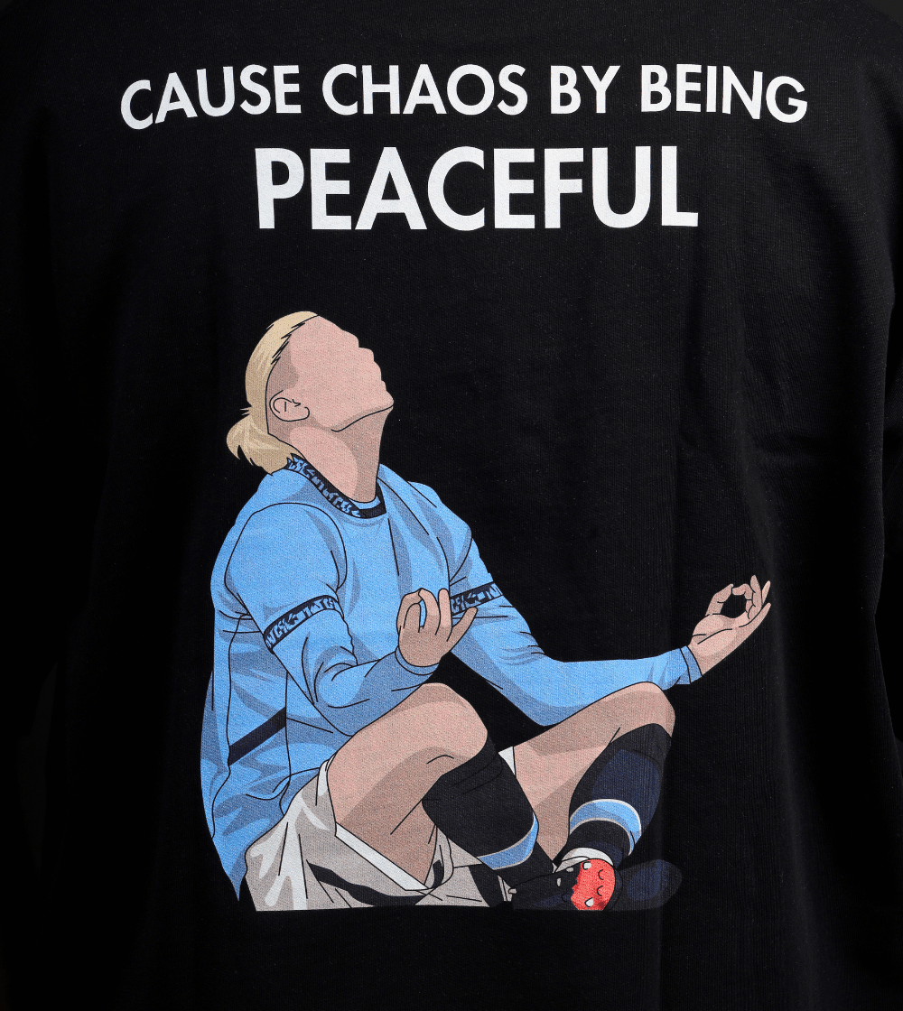 The Viking - "Cause Chaos By Being Peaceful"