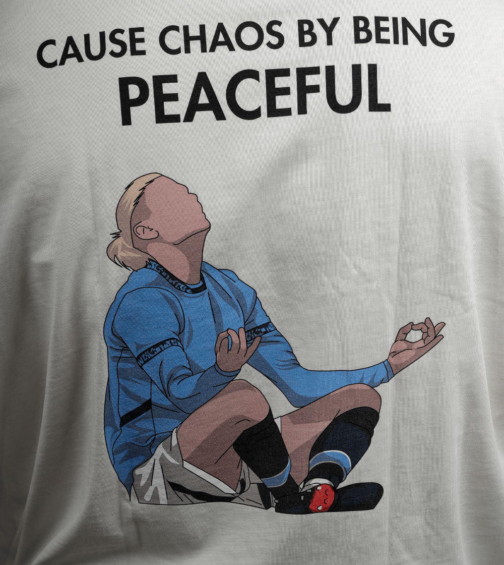 The Viking - "Cause Chaos By Being Peaceful"