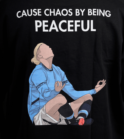 The Viking - "Cause Chaos By Being Peaceful"