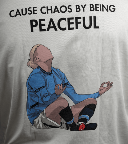 The Viking - "Cause Chaos By Being Peaceful"
