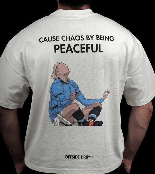 The Viking - "Cause Chaos By Being Peaceful"